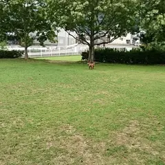 こうつドッグわん