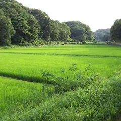 寺家ふるさと村