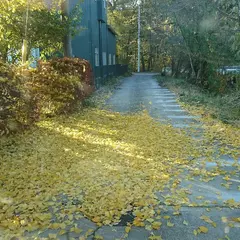 益子町