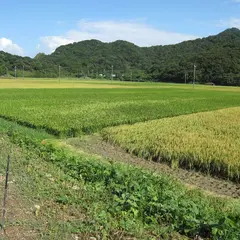 波の橋立