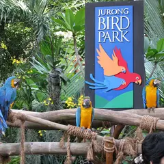 Jurong Bird Park