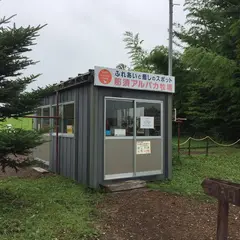 アルパカ牧場