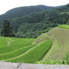 岩首昇竜棚田