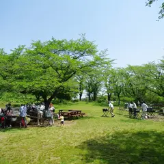 森林公園 野外炊飯広場