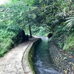 Tukad Cepung Waterfall