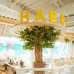 カワウソカフェ® HARRY 原宿テラス店