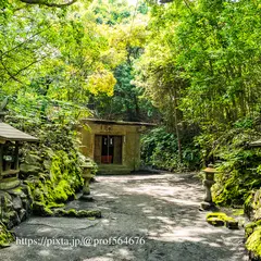 黒神埋没鳥居