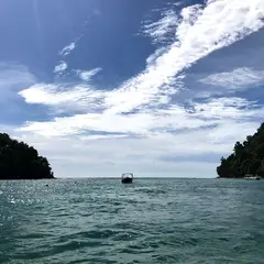 Coral Flyer Zipline