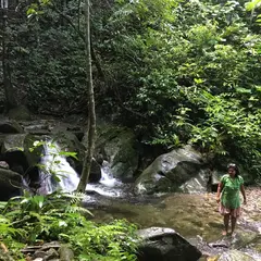 Kinabalu Park（キナバル公園）