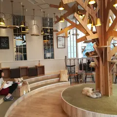 猫カフェ MoCHA（モカ）原宿店