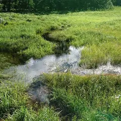 大沼園地