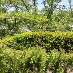 滝山台見晴東公園