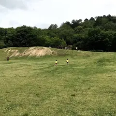 こども自然遊びの森 わんPark