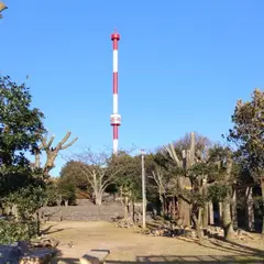 宇和海展望タワー