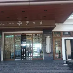 筑波山ホテル青木屋