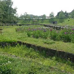 みよし公園