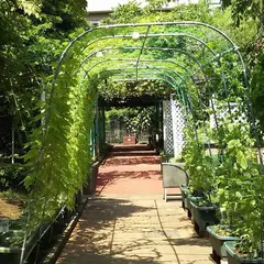 緑と花の学習園