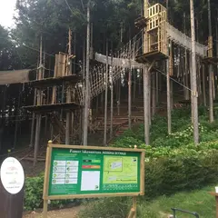 Forest Adventure Mishima Skywalk