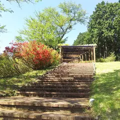 冨士山公園