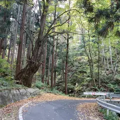 七ケ宿ダム自然休養公園