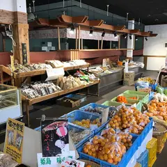 魚市魚座