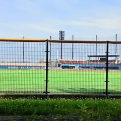 松山中央公園サブ野球場(マドンナスタジアム)