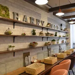 ハリネズミ専門カフェ HARRY WOOD（ハリーウッド） 名古屋栄店