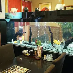 山さ紀とんとん亭