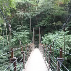 高尾山登山道 吊橋コース