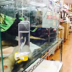 ペットの専門店コジマ 花小金井店