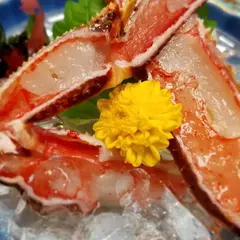 甲羅本店