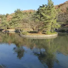 悠久山公園