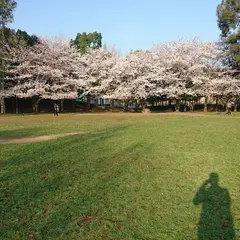 鷺高第五公園（キャンベルタウン公園）