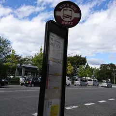 川端丸太町（バス）
