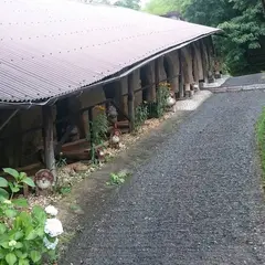 信楽陶芸村本窯