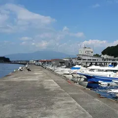 静浦漁港