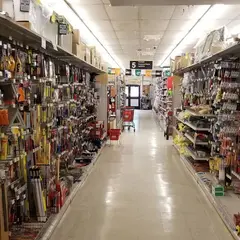 Pioneer Ace Hardware