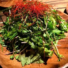 肉バルVS魚バル ガブリーノ