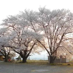 伝嗣院