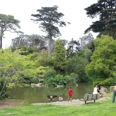 サンフランシスコ植物園