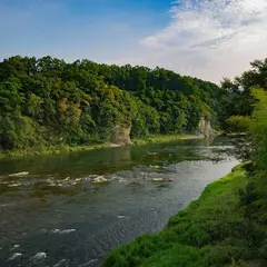 寄居町