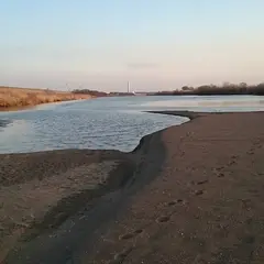 流山市