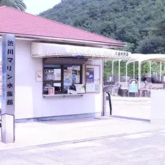 渋川マリン水族館（玉野海洋博物館）
