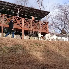 宝仙ポチの森