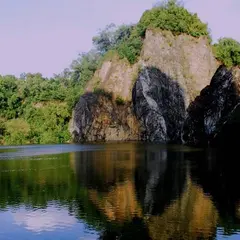 Bukit Timah Nature Reserve