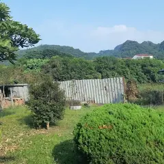 田中鎮