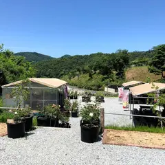 花郷OKADA