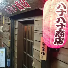 レトロ酒場 ハナハナ商店