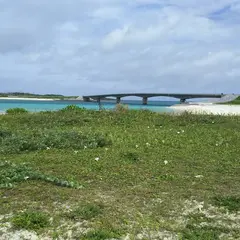野甫大橋