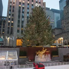 Rockefeller Center Tree